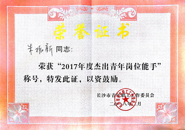 必发智能朱振新荣获长沙市2017年度优异青年岗位能手