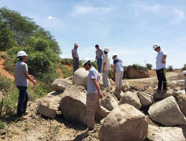 肯尼亚总统高度赞赏，，，，，乞力马扎罗山下必发绿闪灼