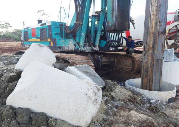 肯尼亚总统高度赞赏，，，，，乞力马扎罗山下必发绿闪灼