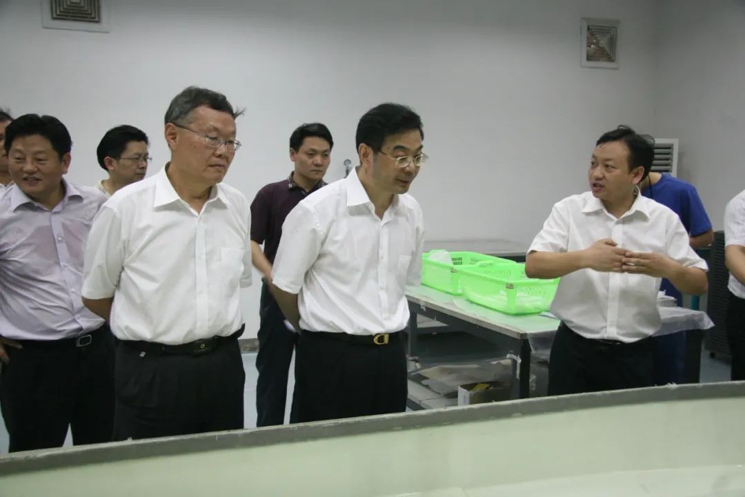 周强调研必发智能：增强知识产权；；；；； 效劳立异驱动生长