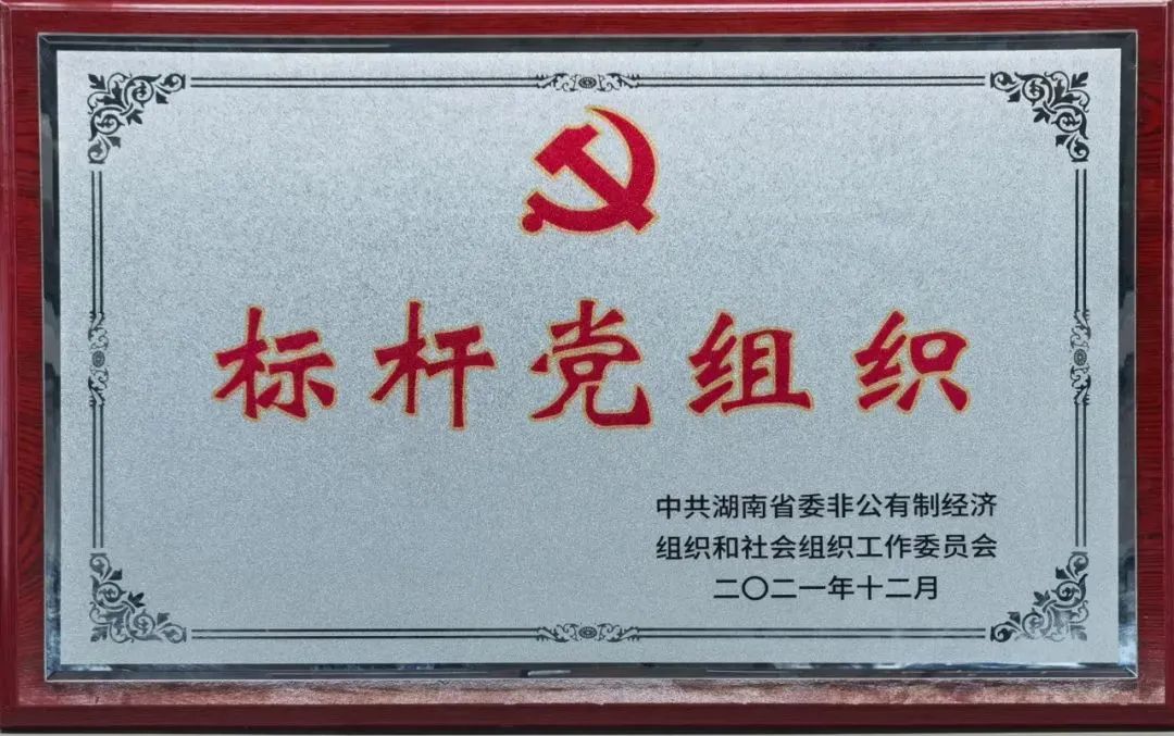 党建品牌亮起来！必发智能党委获评“标杆党组织”