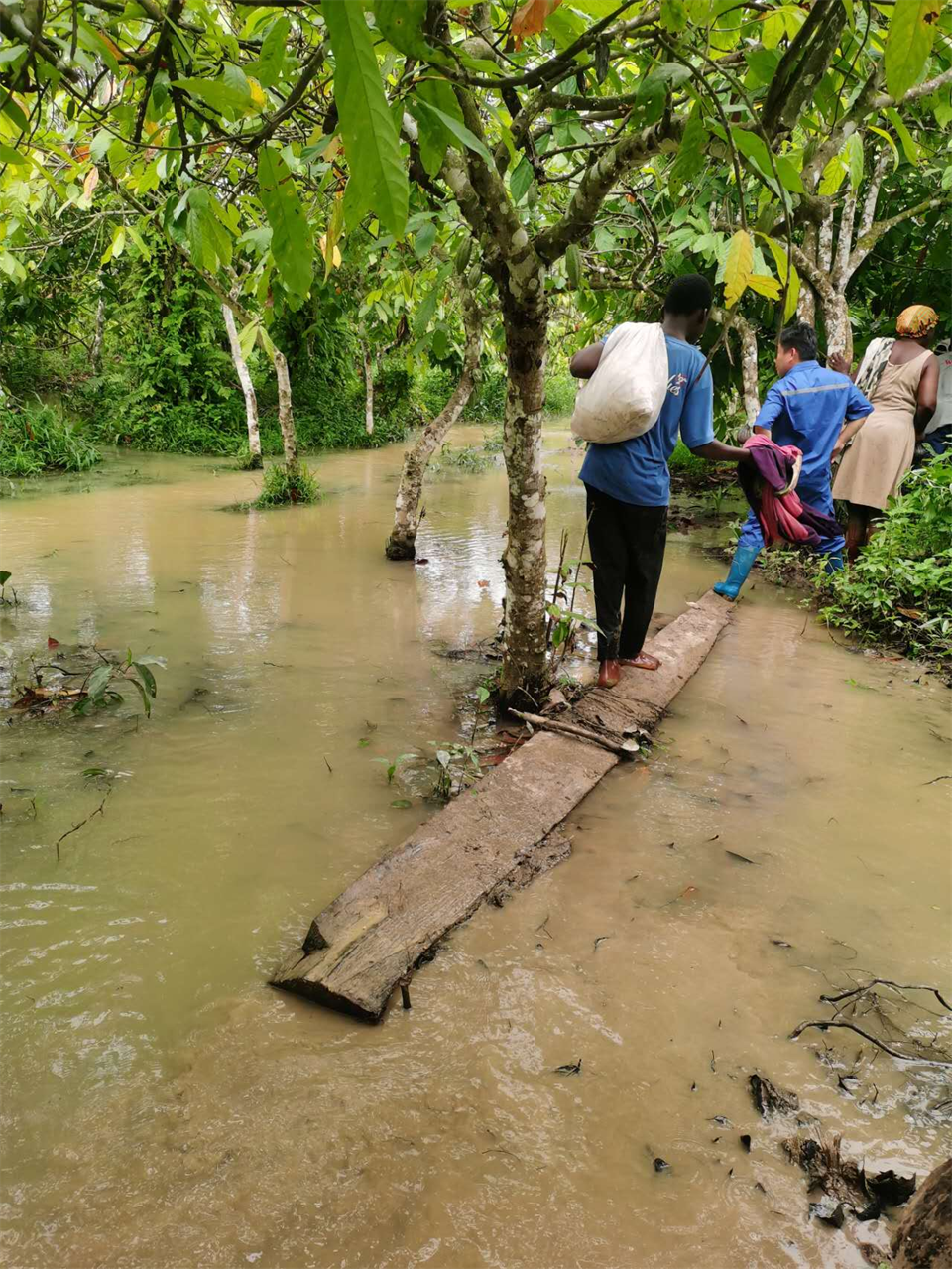 品质必发，，，专心折务！必发智能效劳万里行活动走进非洲加纳